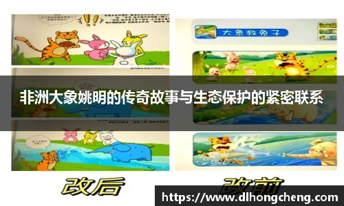南宫NG·28相信品牌力量