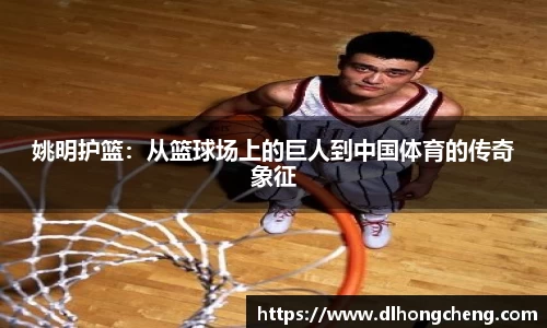 南宫NG·28